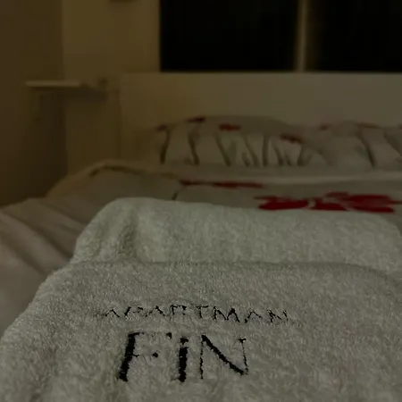 Fin يايتشه